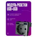 Модуль розетки с USB+USB на 16A с заземлением и шторками, для рамки, серого цвета