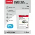 Пленка глянцевая, листы для ламинирования A3 303х426 125 мкм