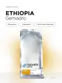 Кофе в зернах Espresso Ethiopia Gemadro rockets.coffee, арабика, 1 кг