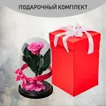 Стабилизированные цветы в стекле, Роза в колбе живая Премиум фуксия 27x16,5 см c подарочной коробкой красной, GIFT4YOU