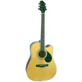 Акустическая гитара Greg bennett GD100SC N