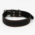 Ошейник кожаный Пижон на синтепоне, 82х4,5 см, ОШ 50-70 см, черный