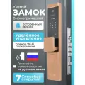 Смарт замок ALFA LOCK T5, золотистый, Smart Life (Tuya), с установкой на существующий врезную часть, IP65