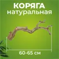 Натуральная коряга для террариума, декорация и украшение декор для рептилий, ящериц, длина 60-65 см, Универсальное украшение для террариумов экзотических животных.