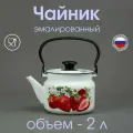 Чайник эмалированный Клубника 2л, Керчь