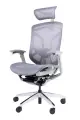 Премиум эргономичное кресло GT Chair Dvary X (цвет: серый)