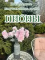 Искусственные цветы, пионы, 3 шт