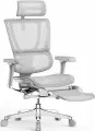 Ортопедическое кресло для компьютера Falto IOO Elite LT GY, для кабинета руководителя