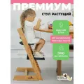 Растущий стул для детей и школьников из бука Конек Горбунек Премиум, Дуэт