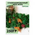 Набор для творчества StabFlora, стабилизированный мох, 250 г