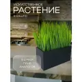 Искусственная осока в ящике для дома и офиса, ПоДар. Ок Home