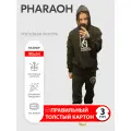 Аксессуар для фотосессий, PHARAOH (Глеб Голубин) 1, ростовая фигура