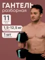 Гантель Разборная MAXISCOO FIT, 12,5кг