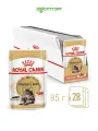 Влажный корм Royal Canin Maine Coon Adult пауч для кошек породы мейн кун (кусочки в соусе) Птица, 85 г х 28 шт.