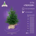 Елка искусственная новогодняя персея, Crystal Trees, литая хвоя, настольная, высота 60см