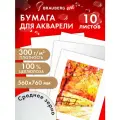 Бумага для акварели, гуаши / акварельная бумага художественная для рисования 300 г/м2 560x760 мм среднее зерно, 10 листов, Brauberg Art Premiere, 113238