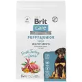 Корм сухой для щенков, беременных и кормящих собак крупных пород Brit CARE Dog Puppy&Junior L Healthy Growth с индейкой и ягнёнком 1.5 кг