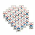 Влажный корм для кошек Royal canin Indoor Sterilised кусочки в соусе, Пауч 85 г х 32 шт.
