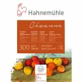 Hahnemuhle Альбом-склейка для акварели Cezanne, 300 г/м2 , 24х32 см, хлопок 100%, 10 л, крупное зерно