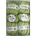 Пряжа Linmin Norka 6 мотков (4 х 100 гр; 2 х 50 гр) 4972