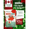 Белый клевер семена, ползучий низкорослый 10 кг