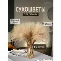 Сухоцветы для декора ARANTA, Мискантус Пампасная трава бежевая 60 шт, Букет 55 см
