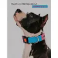 Ошейник широкий повседневный, CORADOG Basic, для средних и крупных собак, голубой ярко розовый, размер L-4 48-70 см
