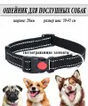 Ошейник для собак, черный, светоотражающий 20мм (30-45см)，Регулируемая нейлоновая веревка