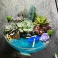 Флорариум «кусочек моря»