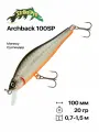 Воблер Strike Pro Archback 100SP, 100 мм, 20 гр, 0,7-1,5 м, #A70-713