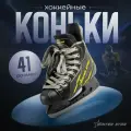 Коньки хоккейные Winter Star Advanced Way взрослые, размер 41, пластик, лезвие из нержавеющей стали 3 мм, для катания на льду, зимних видов спорта и подвижных спортивных игр
