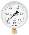 Манометр росма ТМ-510Р 10 М2 100х1/2 10 бар