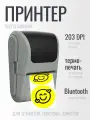 Принтер для термопечати этикеток и заметок / Мини принтер для печати штрих-кодов и QR-кодов серый