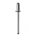 Заклёпки строительные Kraftool Inox 311705-64-12 13.5 мм серебристый, 250 шт.