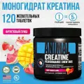 Креатин моногидрат Animal Creatin, спортивное питание, жевательные таблетки со вкусом Фруктовый пунш, 120 шт, 30 порций