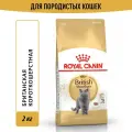 Сухой корм для кошек Royal Canin для британской породы, 2 кг