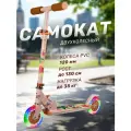 Самокат двухколесный ТМ CITYRIDE, складной, колеса светятся PVC 120/120, CR-S2-09SDG26