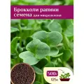 Семена Брокколи Рапини на проростки и микрозелень, Ильинские проростки 500г