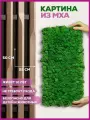Панно настенное 25х50 мох стабилизированный, панель для стен, декор для дома, на стену, в комнату, декорация настенная