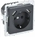 BRITE Розетка одноместная с заземлением с защитными шторками 16А с USB A+A 5В 3,1А РЮш10-2-БрГ графит IEK