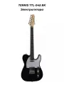TERRIS TTL-045 BK - Электрогитара