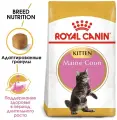 Корм сухой ROYAL CANIN MAINE COON KITTEN корм для котят породы мейн-кун в возрасте от 3 до 15 месяцев 400 г х 2 шт