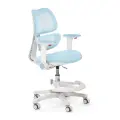 Растущее компьютерное детское кресло Ergokids Dream Air Y-607 голубой