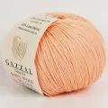 Пряжа Gazzal BABY WOOL 834 персик (10 мотков)