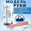 Анатомическая модель руки для отработки внутривенных и внутримышечных инъекций