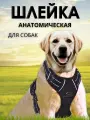 Шлейка для средних и крупных собак анатомическая, нейлоновая, прогулочная, черная S