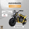 Минибайк Lucky Duck Ranger RB200MAX, 196см³, вариатор, дисковые тормоза, задний амортизатор, желтый