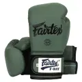 Боксерские перчатки Fairtex BGV11 F-DAY (12 унций)