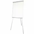 Доска-флипчарт магнитно-маркерная 70x100 см, на треноге, 2х3 ECO, (Польша), TF01 ECO (236521)