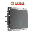 Проходной выключатель/переключатель одноклавишный с подсветкой Werkel W1112104 графит рифленый IP20